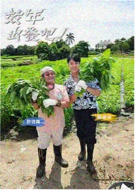 国产悬疑剧精选 国产大片免费播放电视剧有哪些